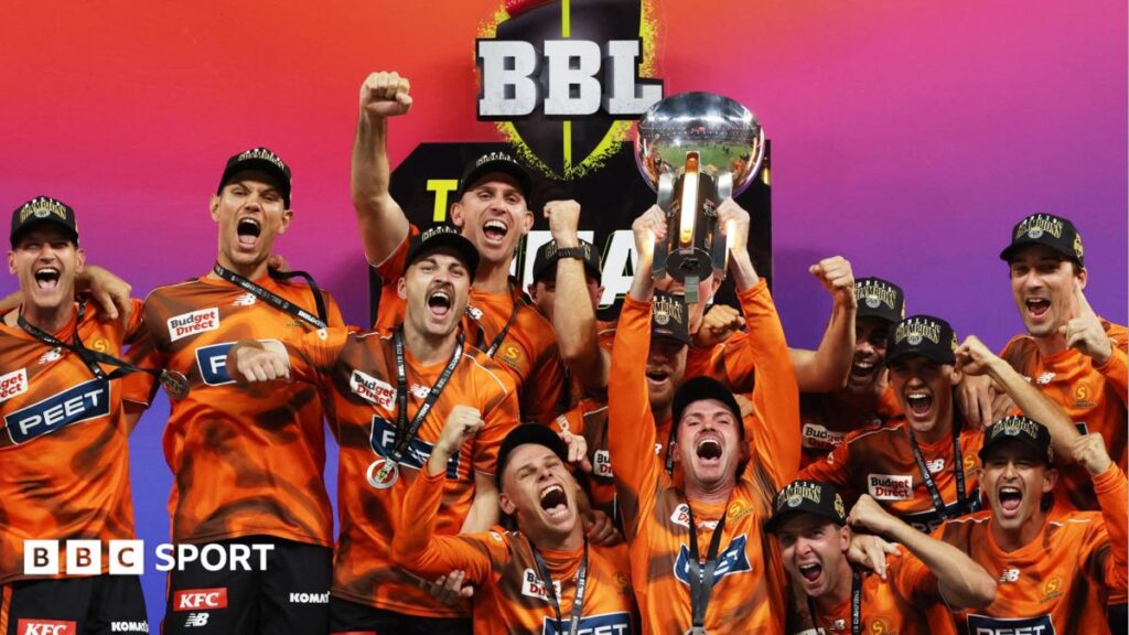 Big Bash League: Cricket Australia to privatise T20 tournament