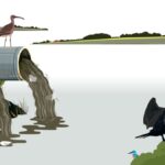 The House Opinion Article | The Choices Facing Burnham's Government On Water