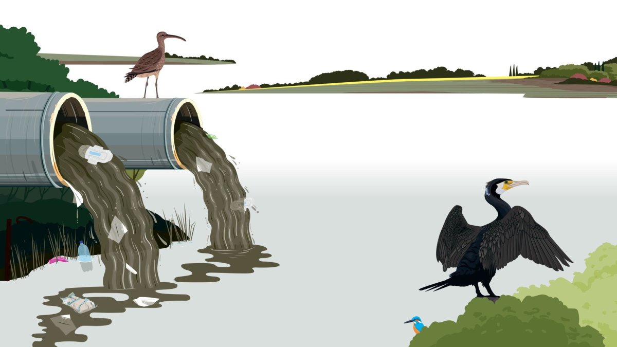 The House Opinion Article | The Choices Facing Burnham's Government On Water